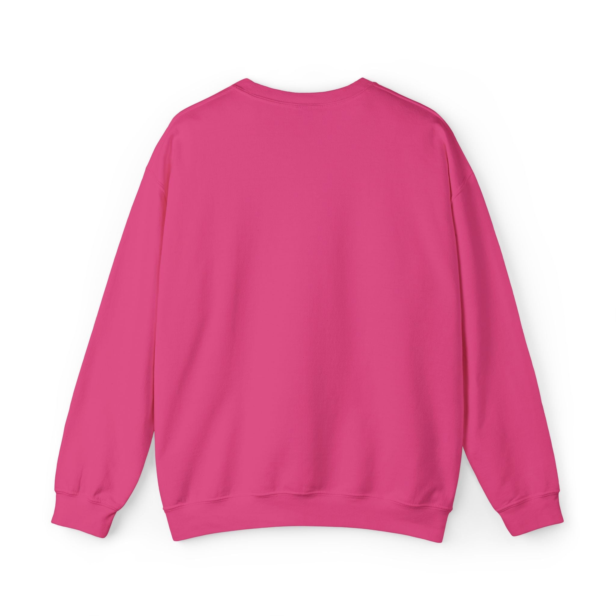 Minimalist 'Stardog' Graphic Sweatshirt — Monochrome Mountain Illustration